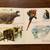 Rare 1960s-70s Children’s BOARD BOOK Animals and Where They Live 5 thumbnail