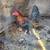 Goats / rabbits/ bantam chickens/roosters 11 thumbnail