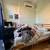 Prime Williamsburg 4 Bed 2 Bath Exposed Beams High Ceilings Light 20 thumbnail