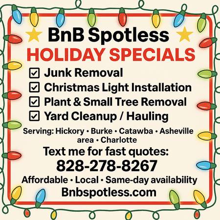 Junk Removal • Yard Cleanup • Small Tree Removal • Christmas Lights In 1