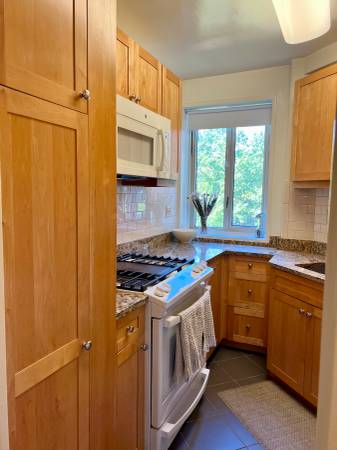 $4,350 / 1br - 800ft2 - Stuytown Apt 7 month Sublet starting Dec 1 2025 (16th & 1st Ave) (East Village)64033456897539121