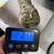 Antique 1925 Indian Brass Filigree Beast Tiger Pata Sword Handle Gaunt 16 thumbnail