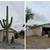 TREE SERVICE & REMOVAL 5 thumbnail