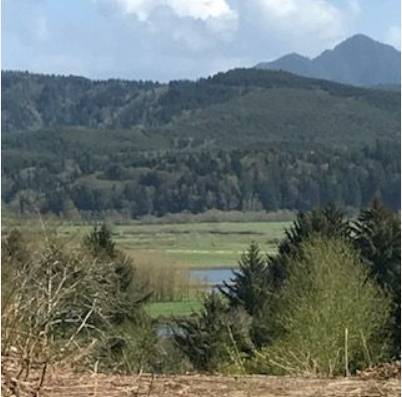 $350,000 Seller Carry - Nehalem OR - Juego de desarrollo - ¡¡¡16 lotes!!! (Nehalem, OR)63831607151363124