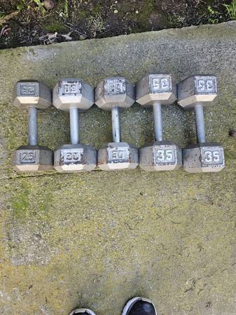 DUMBELLS 1