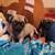 Pug a palooza 2 thumbnail