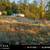Create your ideal residence on this spacious 0.61-acre lot 6 thumbnail
