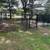 Beautifully Remodeled 1 Bedroom W/ In Unit Laundry Available Nov 21st! 12 thumbnail