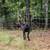 Beautiful Mini Nubian Doe Goat 4 thumbnail