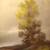 ANTIQUE  English 1800s  Landscape Oil Painting 19th C 11 thumbnail