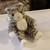 Large Beanie Baby dolls 17 thumbnail