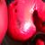 Kick boxing foot pads 3 thumbnail