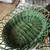 Antique basket 1 thumbnail