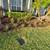 Eddie's Garden Services. Habla Español 20 thumbnail