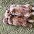 Male pups 1 thumbnail