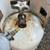 Propane cylinder Propane tank 3 thumbnail