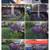Humongous dog House 4 ft tall 36 in wide 43 in Long big and heavy need 9 thumbnail