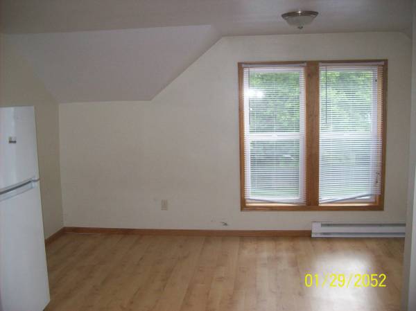 $635 upper efficiency downtown Eau Claire 828C (eau claire)63845960015363124