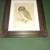 " Owl " Vintage Print by Albert Dürer 1 thumbnail