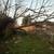 Yard Debris & Tree Limb Removal – 314-629-5110 3 thumbnail