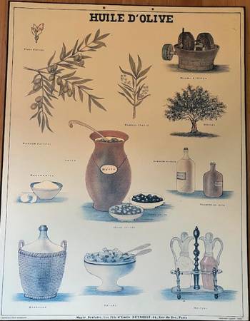 Antique French Educational posters 1