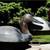 WANTED!! OLD WOOD DUCK & FISH DECOYS (PAY TOP DOLLAR $$) & OLD LURES 2 thumbnail