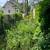 Lawn, landscape and property care. 1 thumbnail
