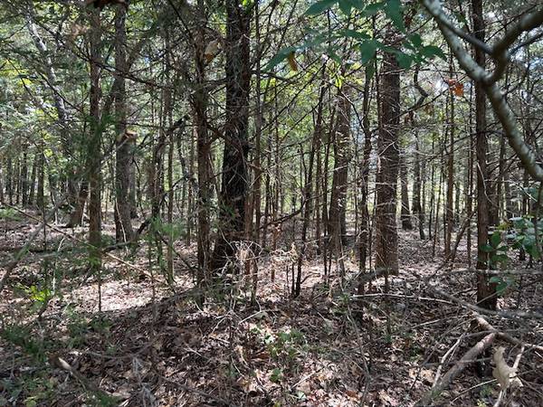 $199 / 12900ft2 - Horseshoe Bend AR - Norte de Arkansas Central. .297 acres (Horseshoe Bend AR)64312241644803124