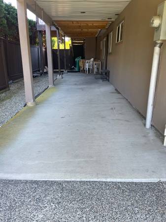 A one-bedroom in Surrey, asking $1,350 a month. The listing mentions basement suite. It leaves 4 obvious questions unanswered, starting with: are pets allowed?