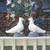 Dove Statues - Birds. 2 Oriental & life size statues. Bird statue. 1 thumbnail