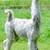 Llamas, Pets, Guards, Fiber Producers 8 thumbnail