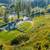 FOR SALE! 8 ACRES NEAR DOWNTOWN MAPLE RIDGE – BUILD YOUR ESTATE 4 thumbnail