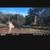 Deer hunting, axis,blackbuck 1 thumbnail