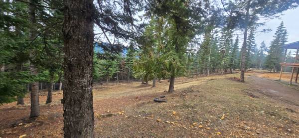 🍁🍁Quality Care Landscaping ---Property Cleanup & Management. 1