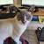 Missing Kitty 1 thumbnail