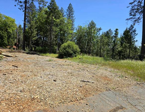 $35,000 Escape to Paradise Pines - Beautiful .26-acre corner lot on a quiet cu (Magalia)63900311969283122
