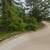 Prime Location Near Dunns Creek & St. John's River - 10k Square Ft Lot 6 thumbnail