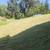 Landscape Maintenance 5 thumbnail