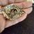 ANTIQUE VINTAGE STERLING SILVER JEWELRY 11 thumbnail