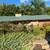 ROOFING/SIDING/SEAMLESS GUTTERS 7 thumbnail