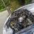 5.3l ls engine 3 thumbnail
