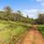 9.95 Buildable Acres | Irrigation Rights & Expansion Potential 10 thumbnail