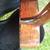 Recording King NAMM Adirondack Mahogany  Dreadnought 7 thumbnail