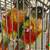 2 Yellow-Sided Green Cheek Conures (1M, 1F). 5 thumbnail