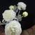 artificial white ranunculus flowers 1 thumbnail