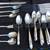 Silverplate Flatware 4 thumbnail