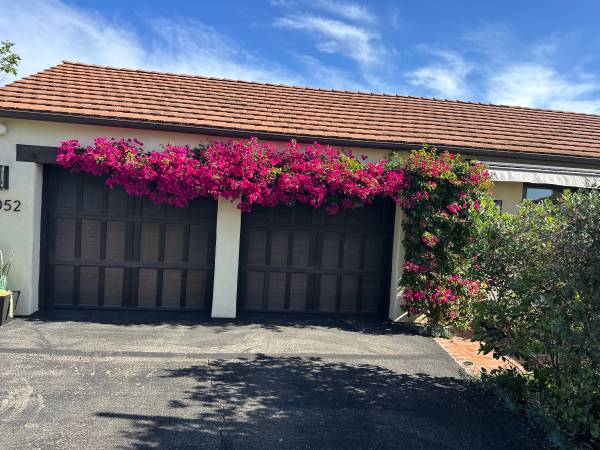 Yard Cleanups- Maintenance- Irrigation- Hedge Trimming 1