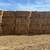 Alfalfa, old stand, two string bales 1 thumbnail
