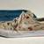 Nike SB Zoom Stefan Janoski Beach Day Shoes Sneakers Men's size 9 2 thumbnail