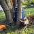 Kune kune pigs 3 thumbnail